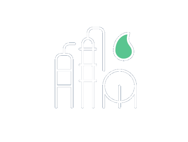 Adaptable and cost-effective <br/> gasification technology